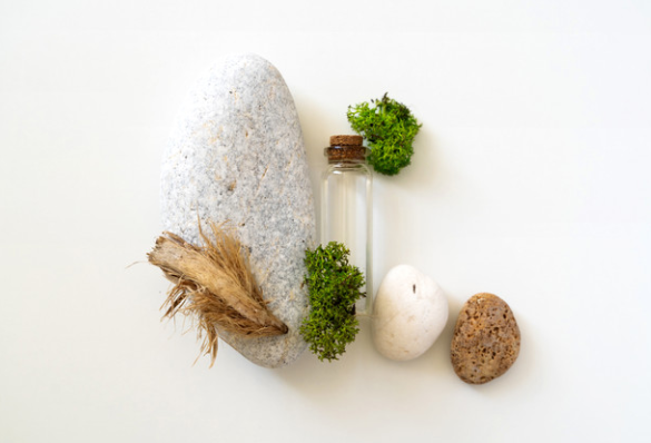Sea Moss Gummies Benefits: A Convenient Way to Boost Your Wellness Routine