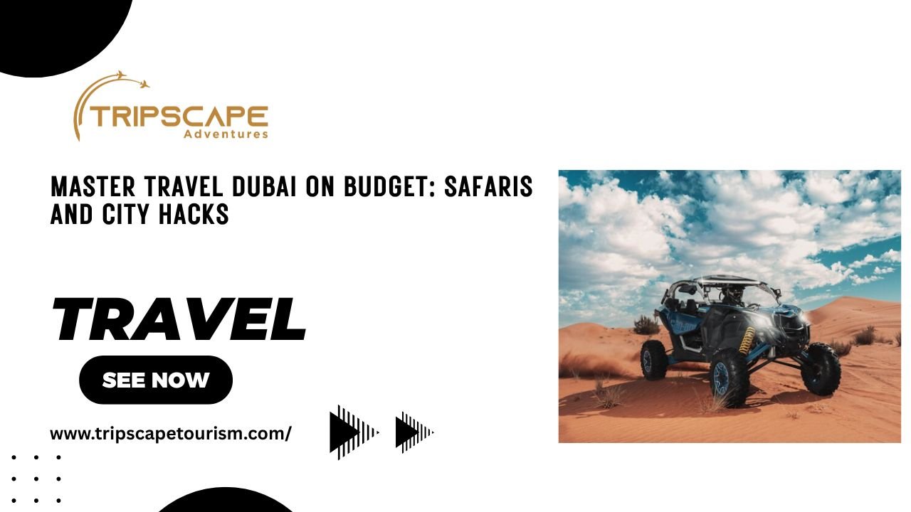 Master Travel Dubai on Budget: Safaris and City Hacks