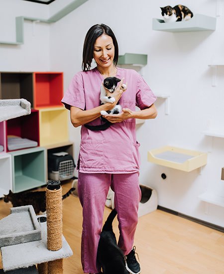 The Role of Routine in Pet Wellness and How Daycare Supports It