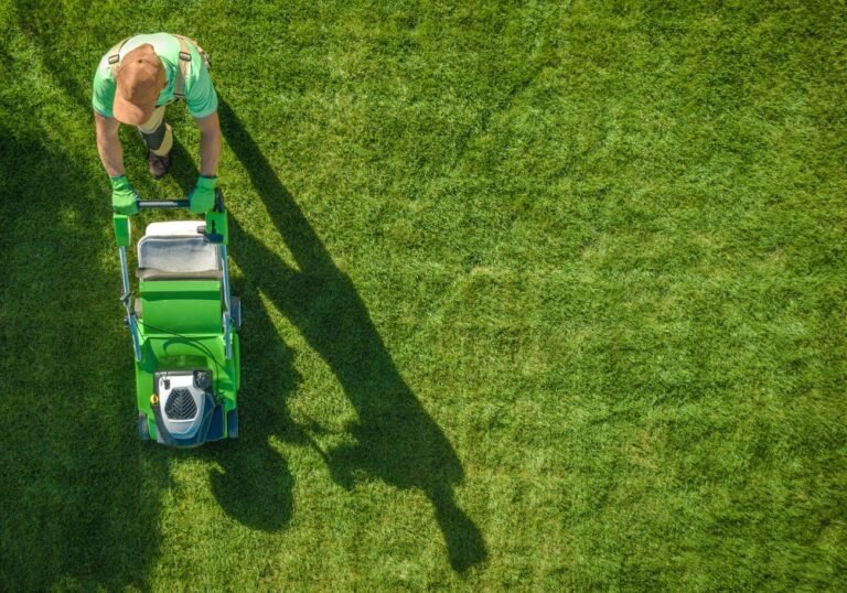 Lawn Mowing Services in Hamilton: What Homeowners Should Know