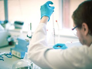 Food Authenticity Testing Services Market Demand, Forecast 2020–2033