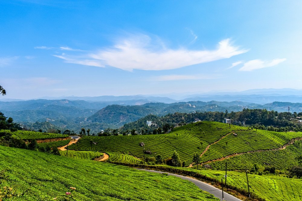 Top 10 Munnar Tour Packages for a Perfect Hill Station Getaway