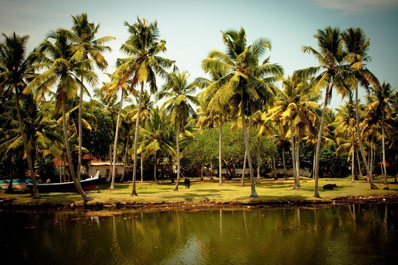 Kerala Backwater Tour for a Tranquil Scenic Escape