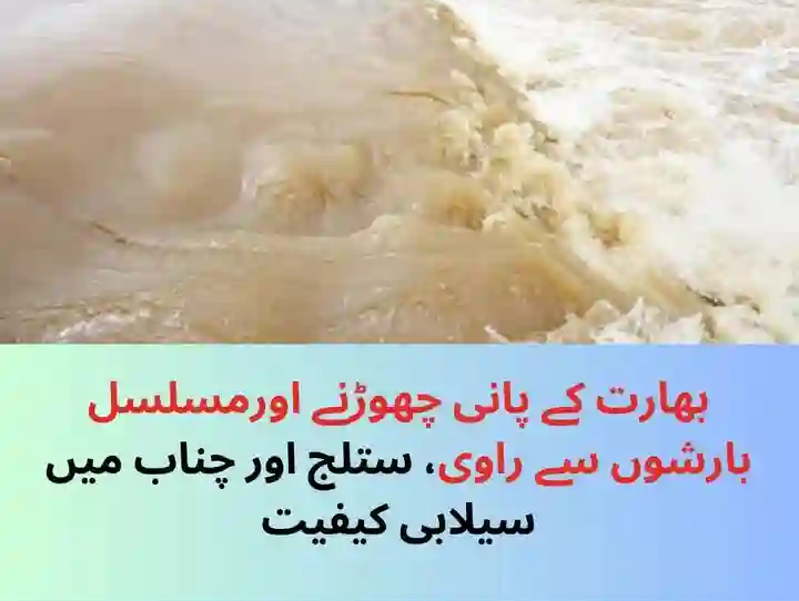 گورے نے پنجاب میں دنیا کا سب سے پیچیدہ اور بڑا نہری نظام بنانا پسند کیا۔