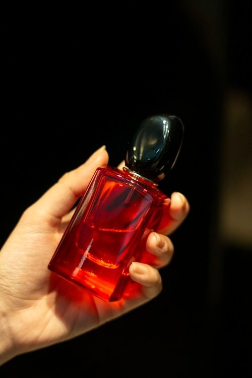 Best Ladies Perfume Brands Loved by Women in 2025