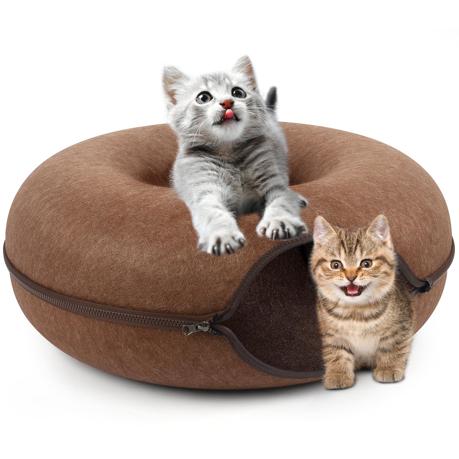 Cat Tunnel Bed or Cat Donut Tunnel? How to Pick the Perfect One for Your Kitty