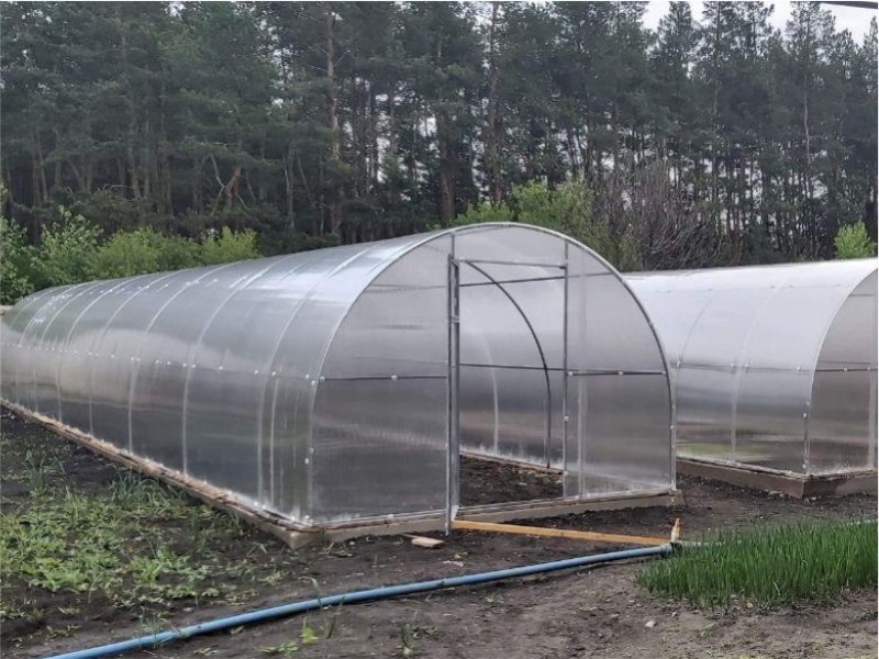 Create the Perfect Growing Environment with ECO TEPLITCA Greenhouse Systems