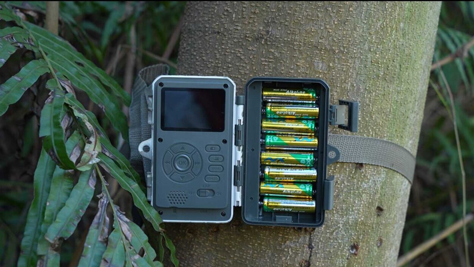 Capture Nature’s Drama: Best Practices for Using Deer Trail Cameras