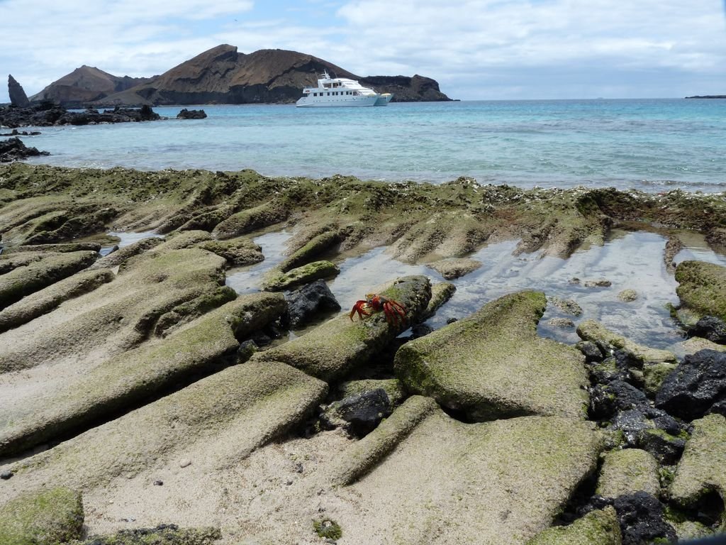 Why Choosing a Galapagos Yacht Beats Any Traditional Cruise