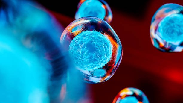 Best Description on Stem Cells Treatment in Panama by Panama Stem Cell Therapy