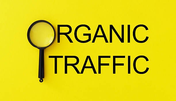 How an Organic SEO Agency Creates Strategies That Deliver Sustainable Growth