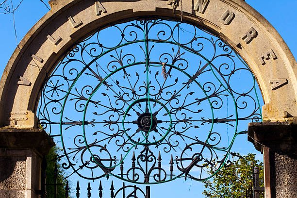 Steel Door: The Ultimate Choice for Security, Style, and Durability