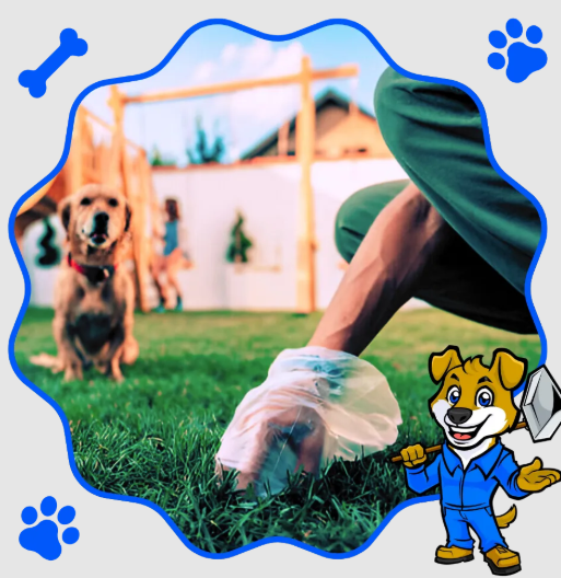 Trusted Pet Waste Removal Company Serving Wise County