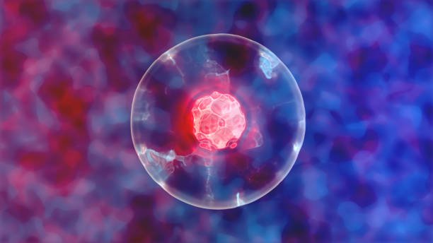 Stem Cell Therapy Panama Stem Cell Therapy